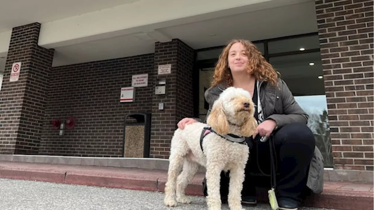 Condo Board Reverses Course on Service Dog Registration Rules