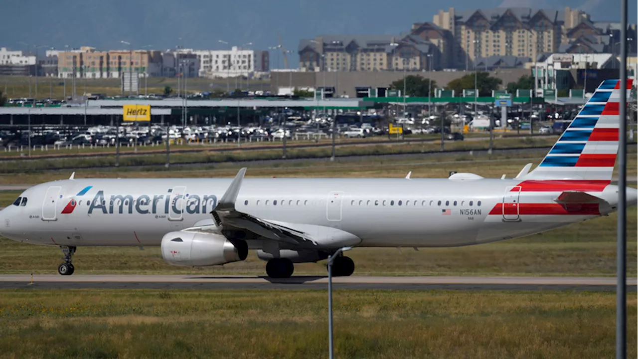 American Airlines Flights Disrupted by Technical Issue