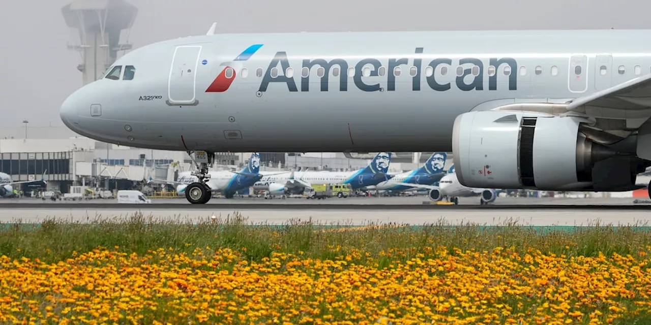 American Airlines operations up and running again after technical issue grounded US flights