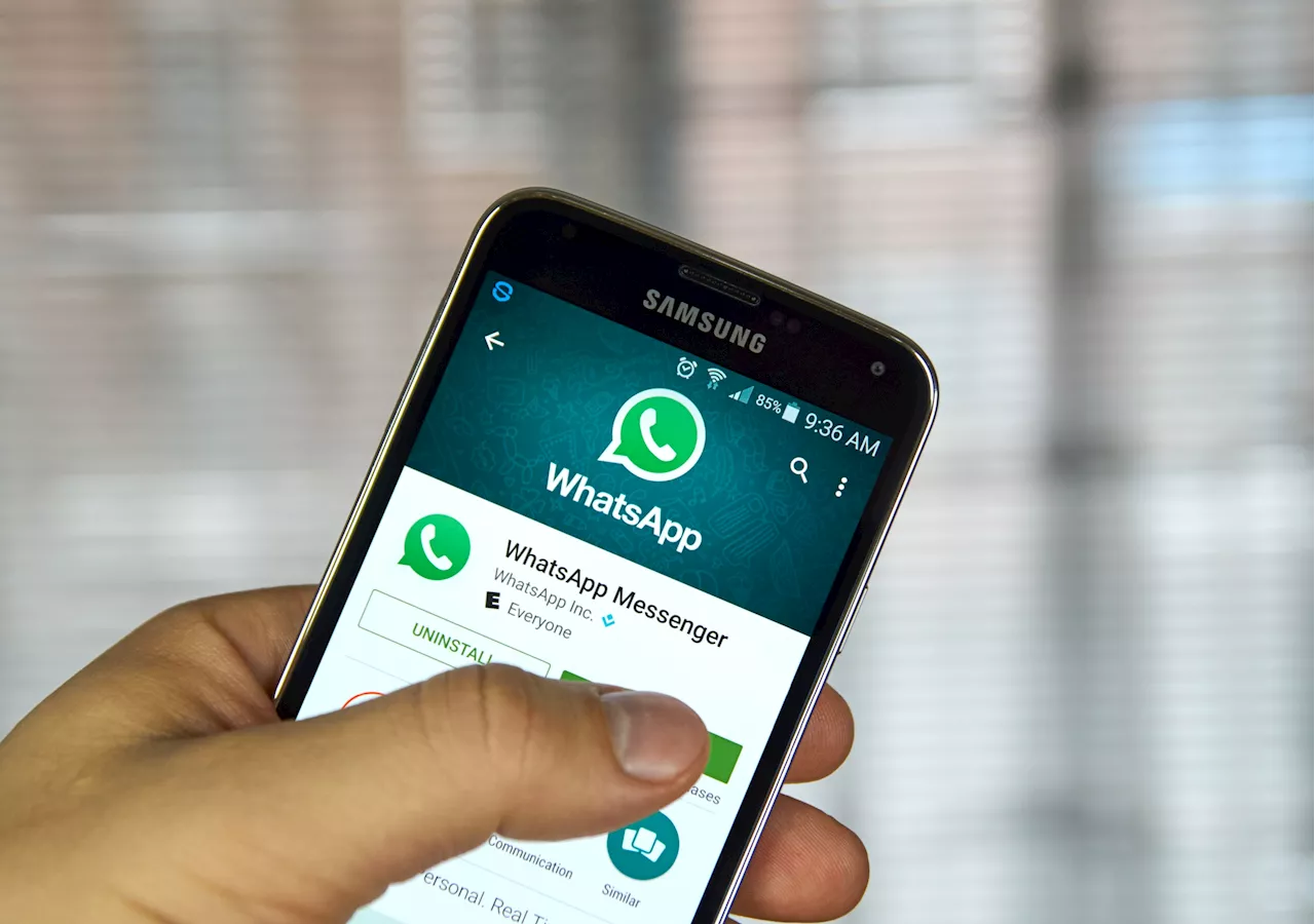 WhatsApp : dès le 1er janvier 2025, ces smartphones Android ne seront plus pris en charge