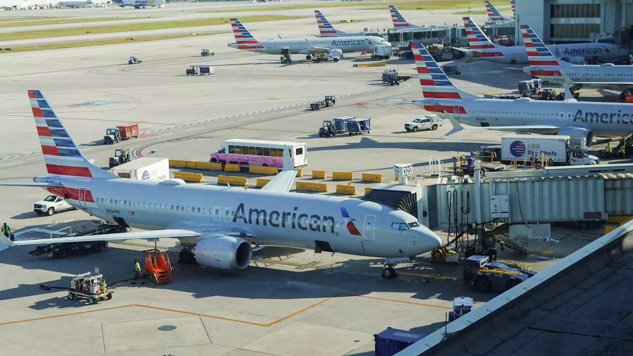 American Airlines temporarily grounded U.S. flights because of technical issue