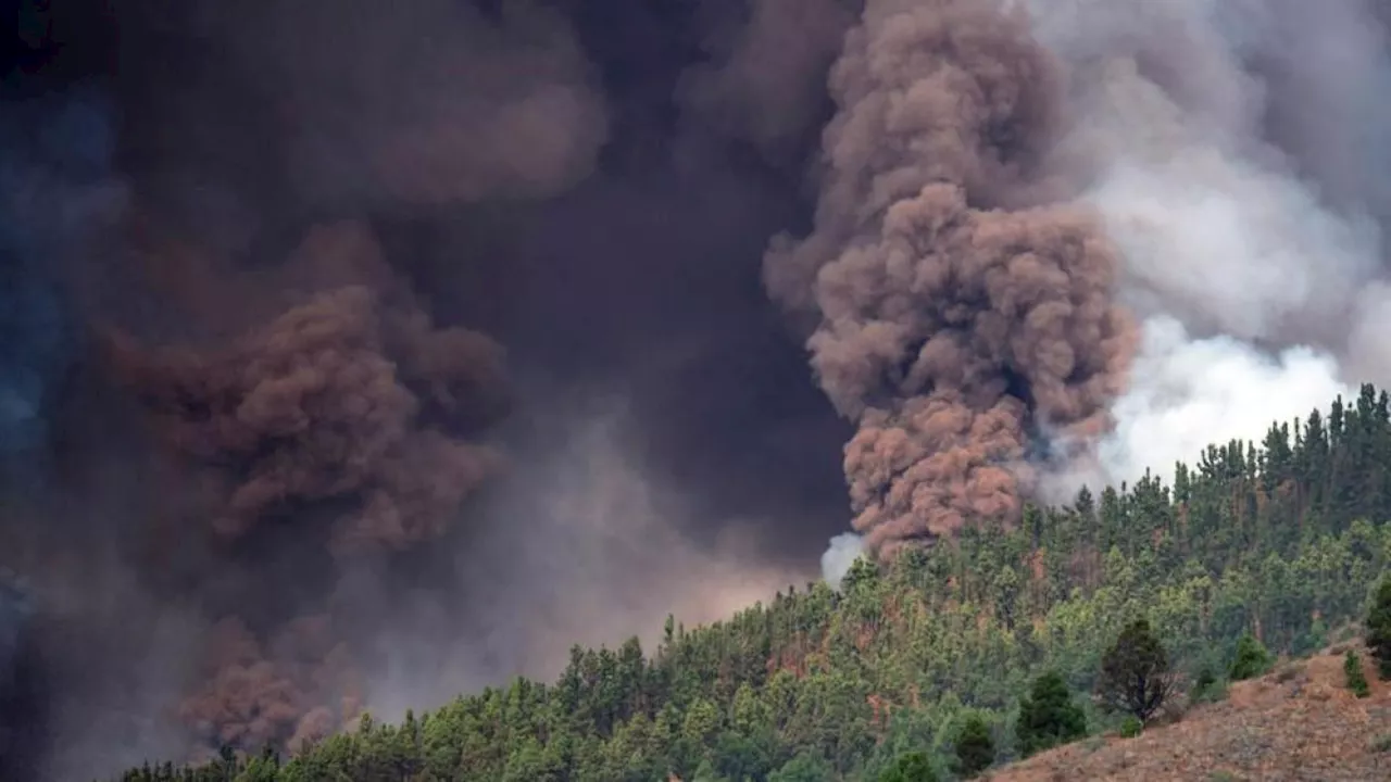 La Palma: la serie Netflix che ha scatenato il panico per un mega tsunami