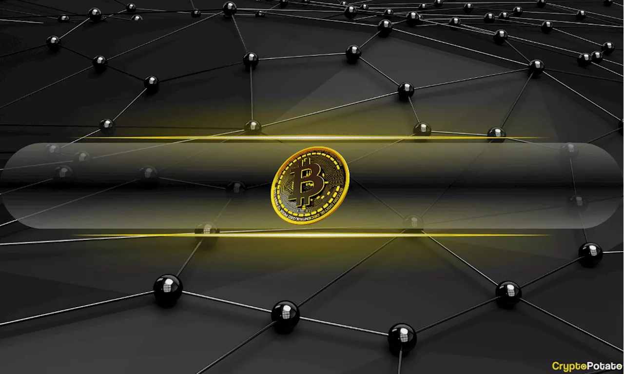 Digital Asset Investments See Significant Outflows Amidst Market Volatility
