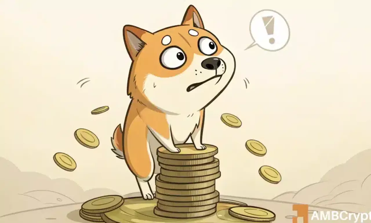 Dogecoin's Price Decline and Waning Open Interest Raise Concerns