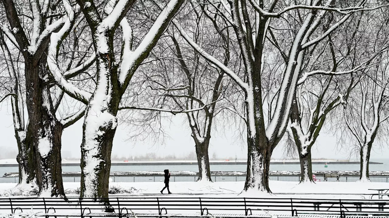 Canada News Roundup: White Christmas in Toronto, Immigration Measures, and More