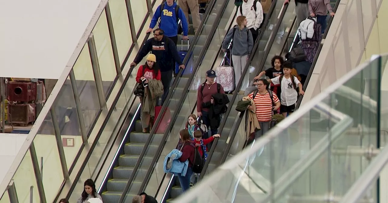 Denver International Airport Sees Record Travel and Milestones in 2024