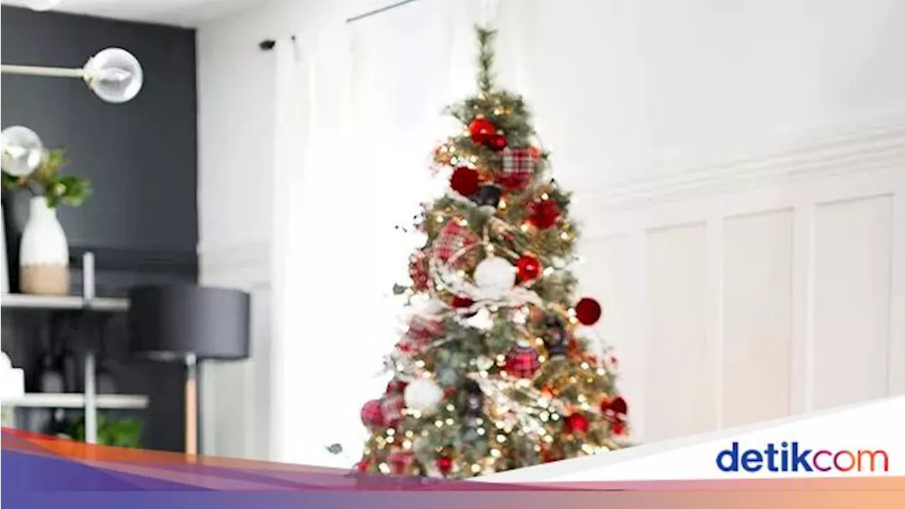 Tempat Ideal Menempatkan Pohon Natal di Rumah