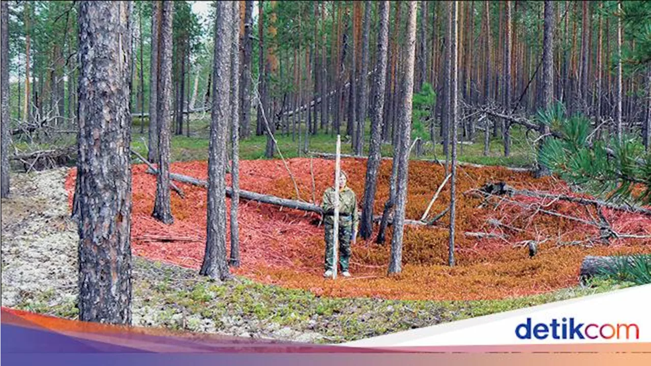 Wujud Benteng Tertua di Dunia Berusia 8.000 Tahun, Bukti Kecanggihan Zaman Batu