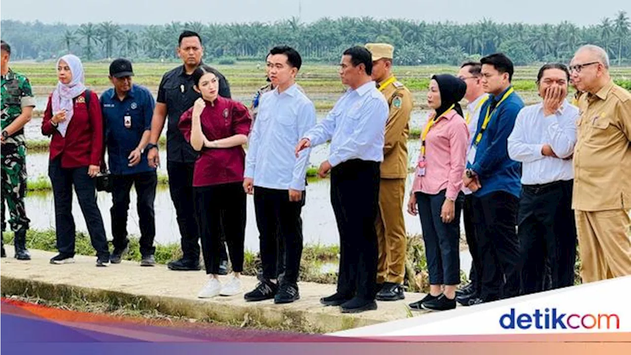 Wagub Gibran dan Mentan Amran Tanam Padi di Langkat, Tekankan Komitmen Swasembada Pangan