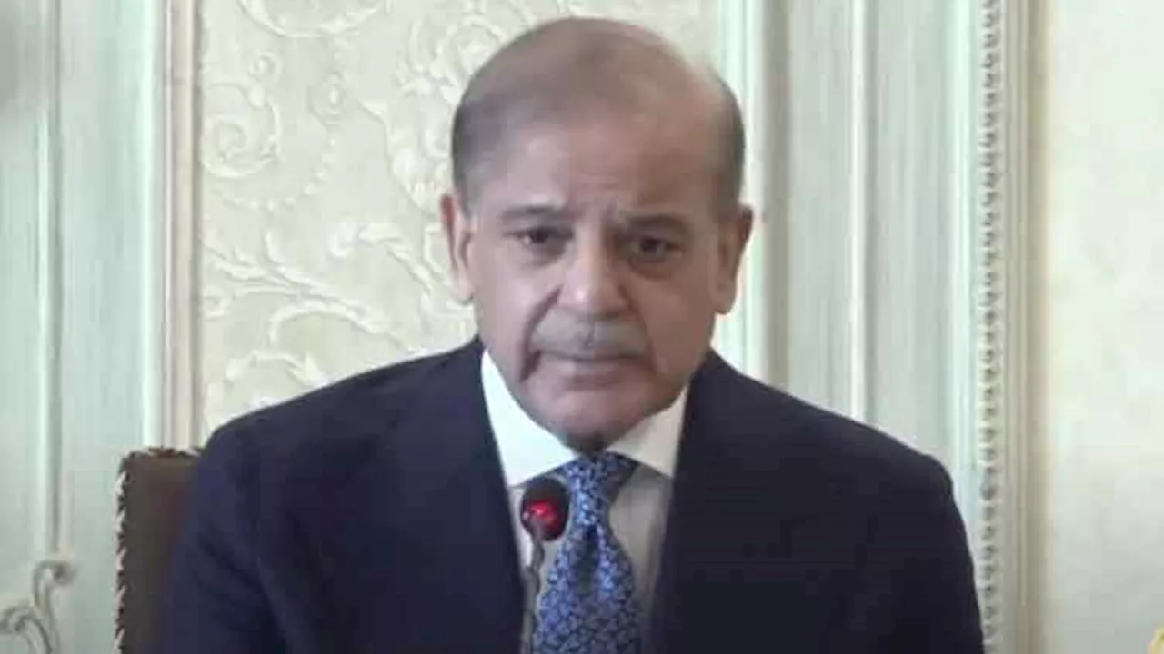 No compromise on nuclear programme, PM Shehbaz reacts to US sanctions