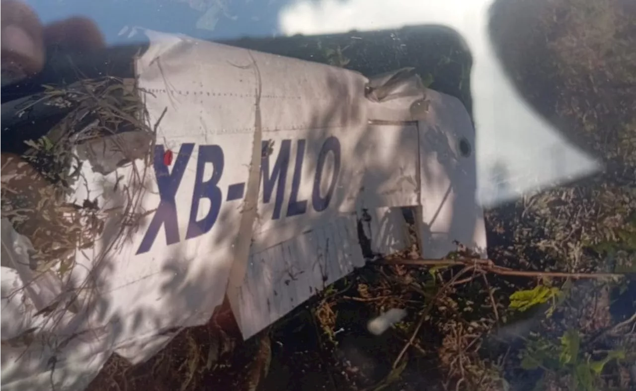 Sin identificar las 7 víctimas del desplome de avioneta en Quitupan, Jalisco