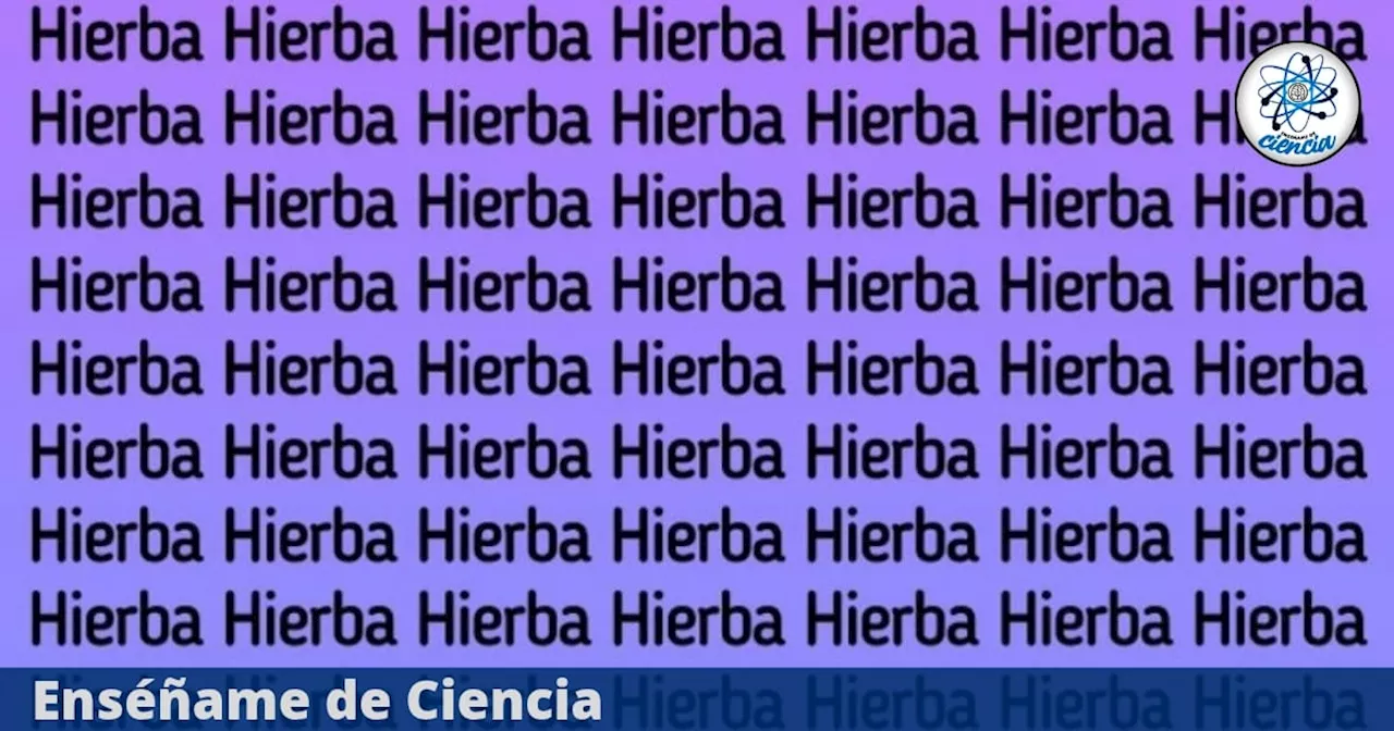 Test Visual Nivel DIOS: ¿Puedes Encontrar la Palabra Diferente?