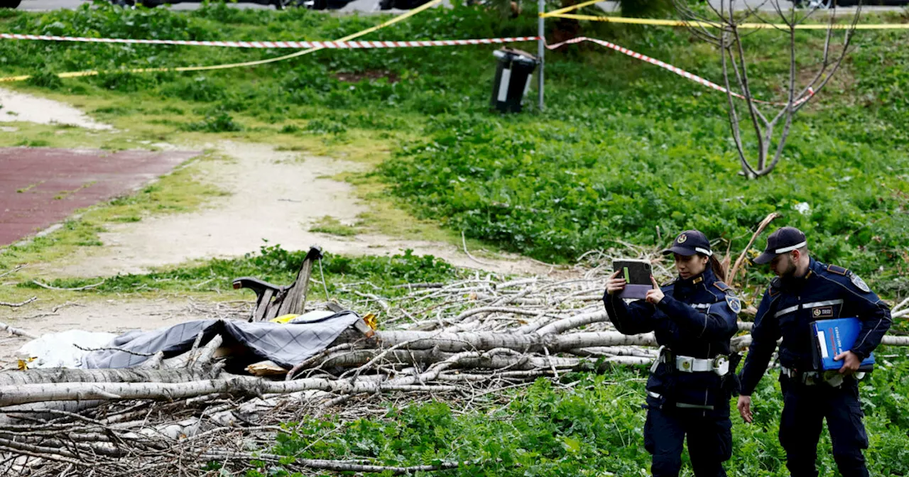 Roma, rabbia dei residenti dopo il caso dell'albero caduto: 'Preoccupazione per le altre aree verdi'