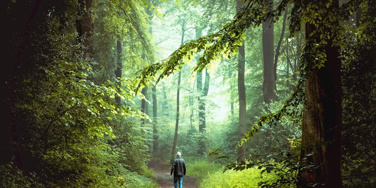 Deutschland will beim Naturschutz Vorreiter werden