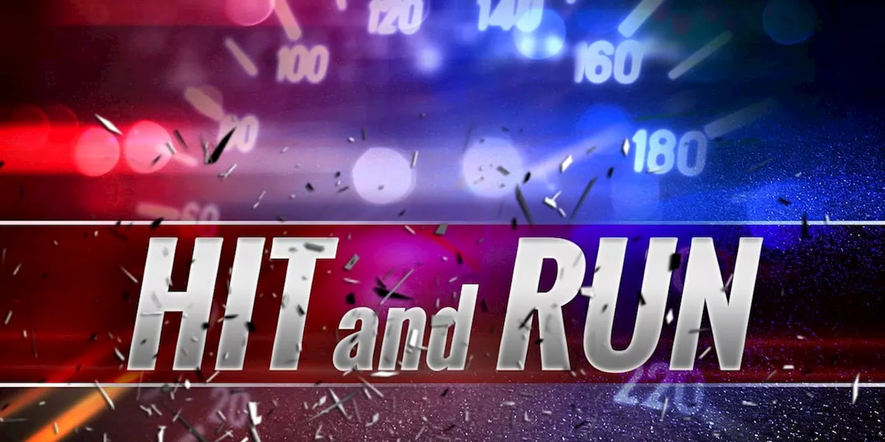 Pensacola Police Seek Witnesses in Fatal Hit-and-Run