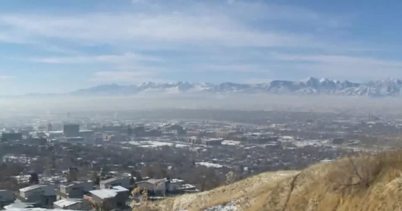 Ozone Pollution May Harm Fetal Development in Utah