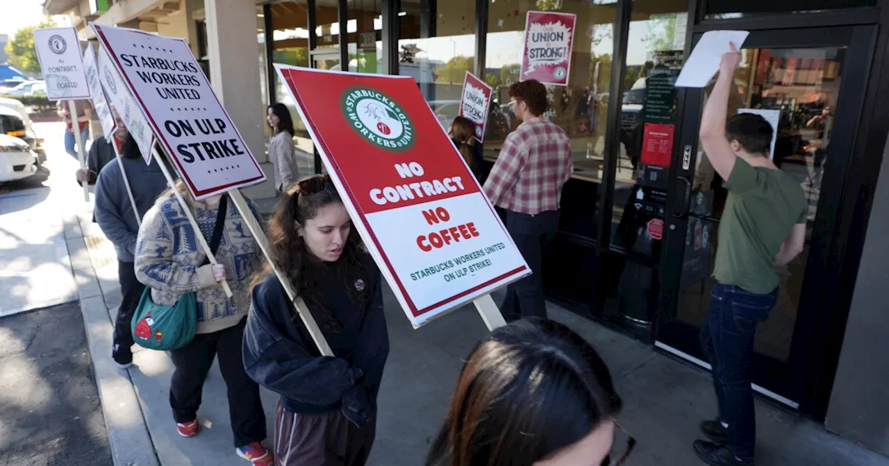 Starbucks Walkout Expands to Hundreds of Stores