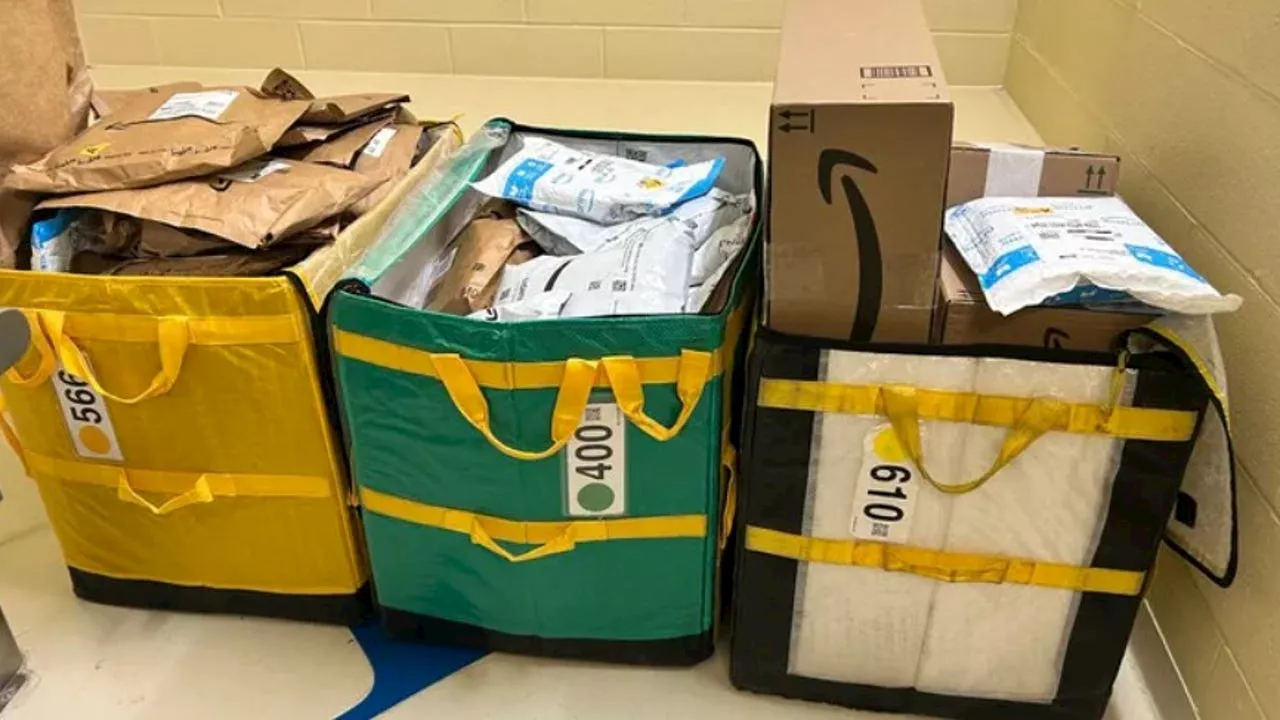 Amazon Driver Dumped Packages in Woods Due to Stress, Police Say
