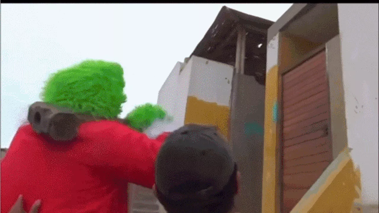 Grinch-Costumed Peruvian Police Bust Drug Traffickers