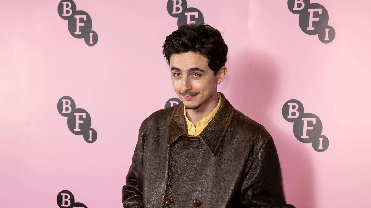 La paire de Nike Air très usée de Timothée Chalamet est assortie à sa nouvelle barbichette