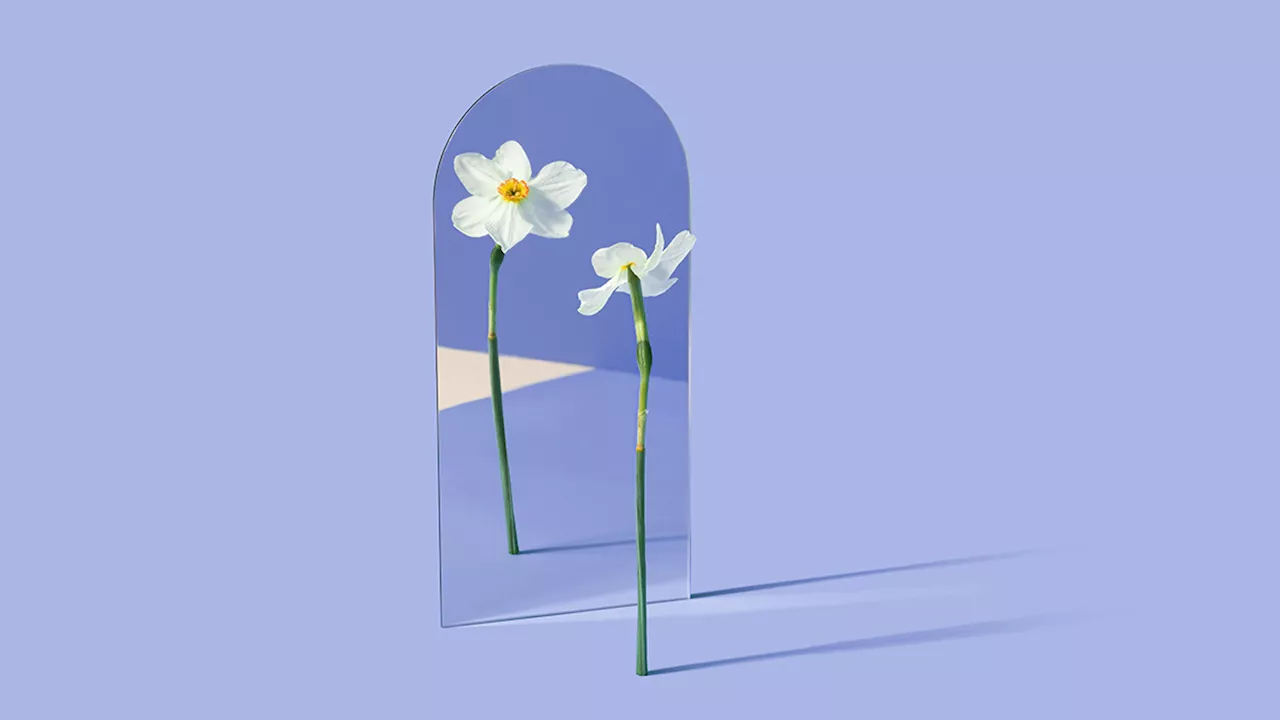 Digital Twins: Enabling SMEs to Optimize Complex Processes