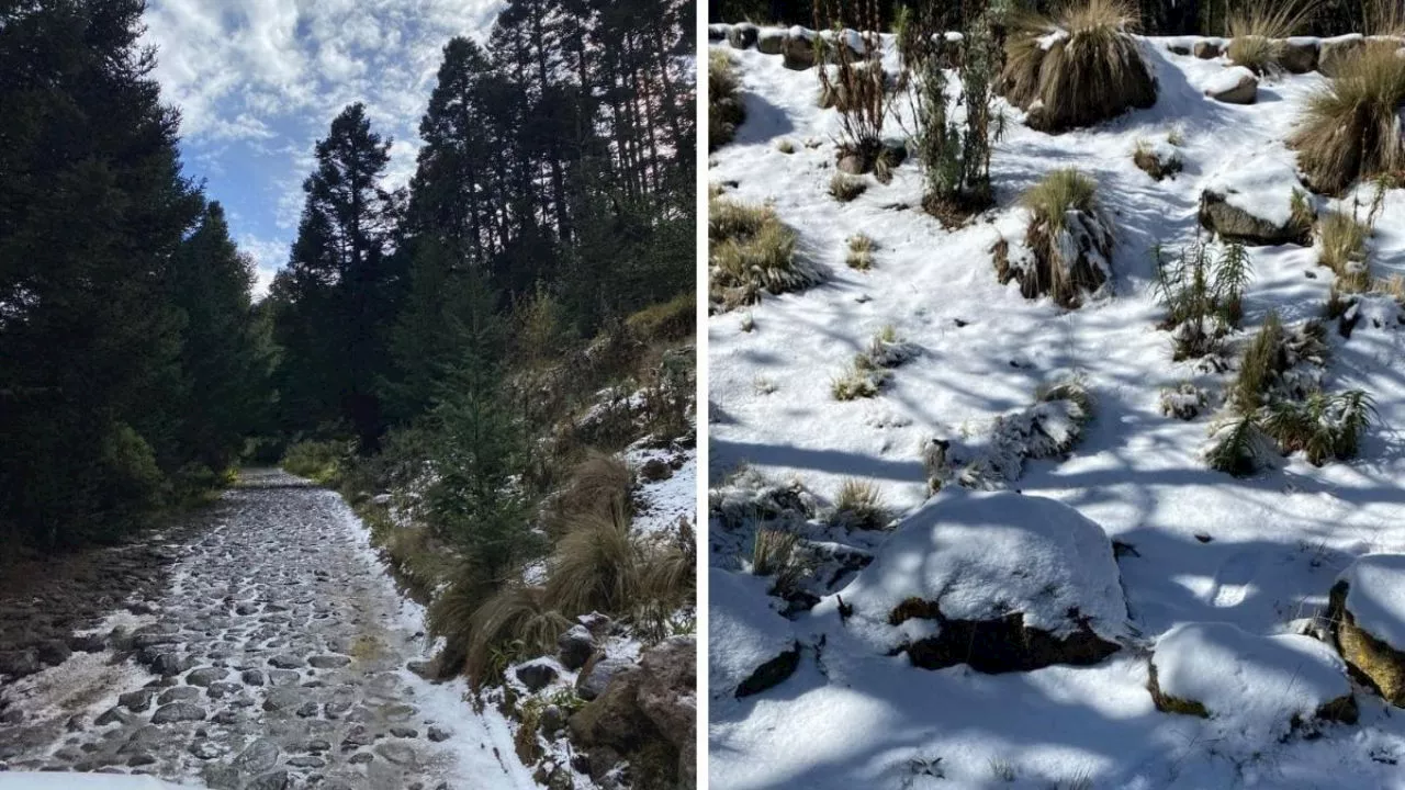 Primera nevada en Cofre de Perote; implementan operativo de seguridad por arribo de visitantes