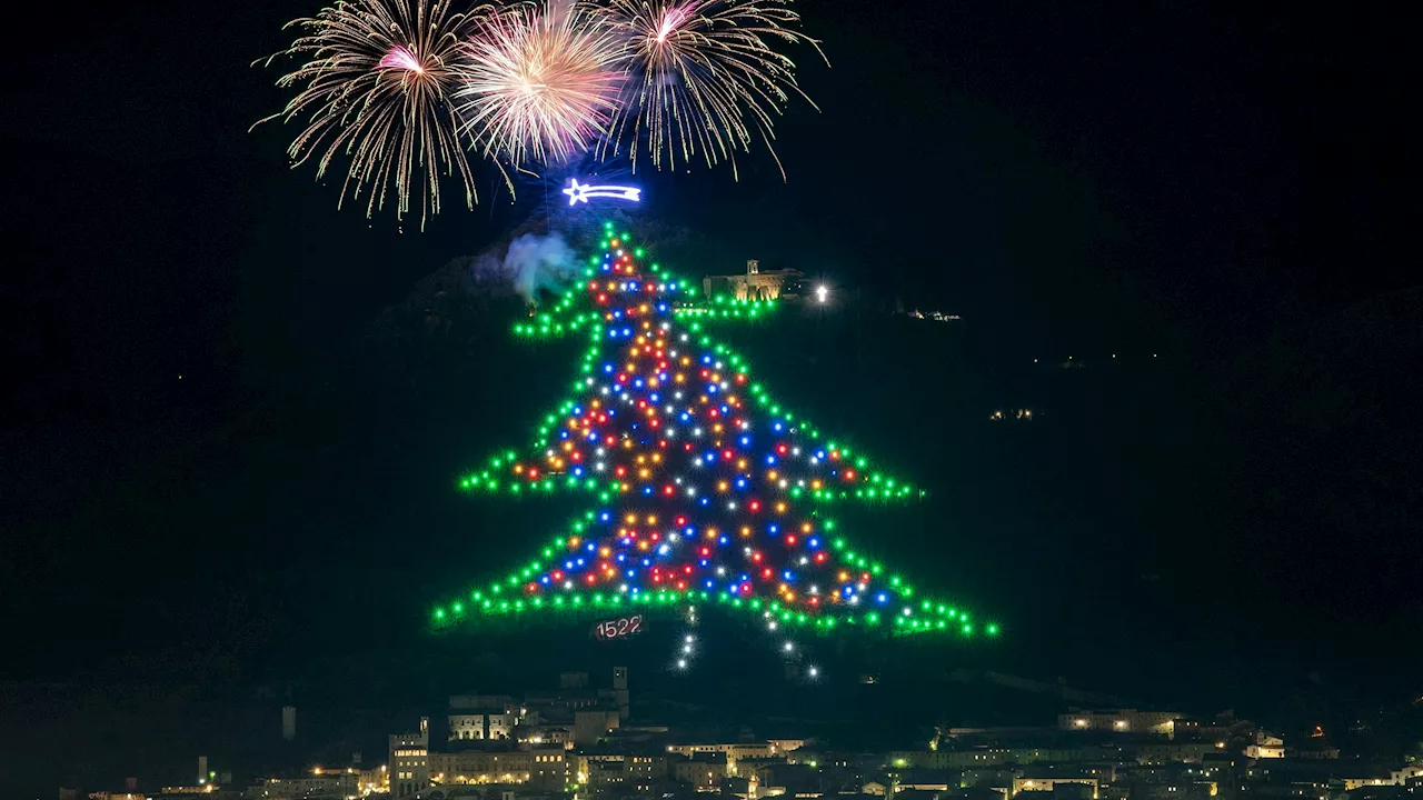 Der größte Weihnachtsbaum der Welt