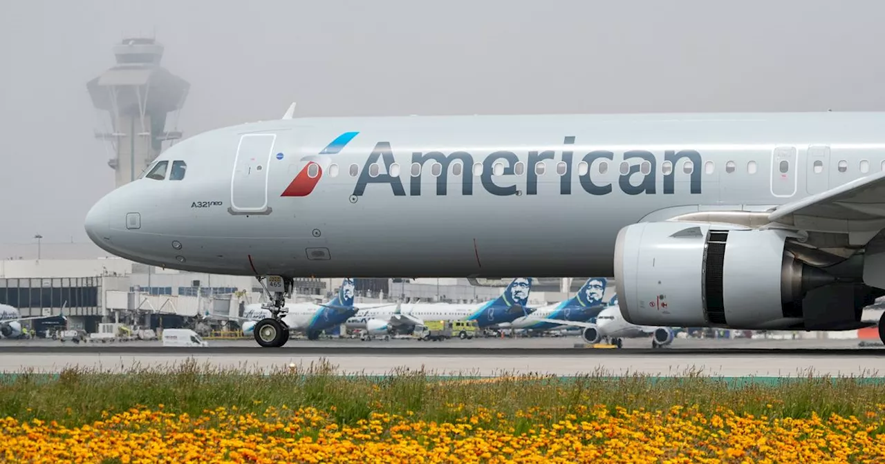 American Airlines Grounded Due to Technical Issue