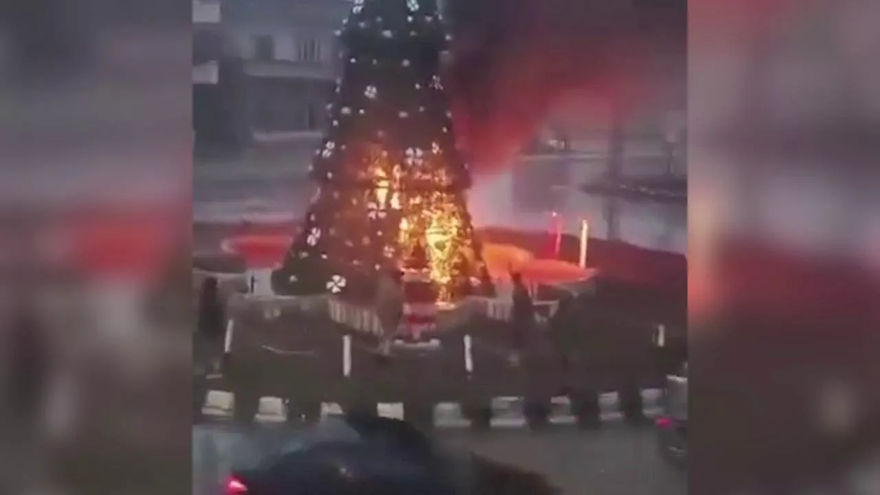 Jihadisti bruciano un albero di Natale in Siria