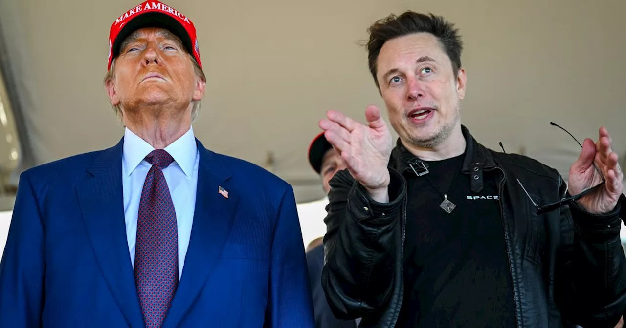 Musk's Shadow Presidency: A Growing Friction with Trump?