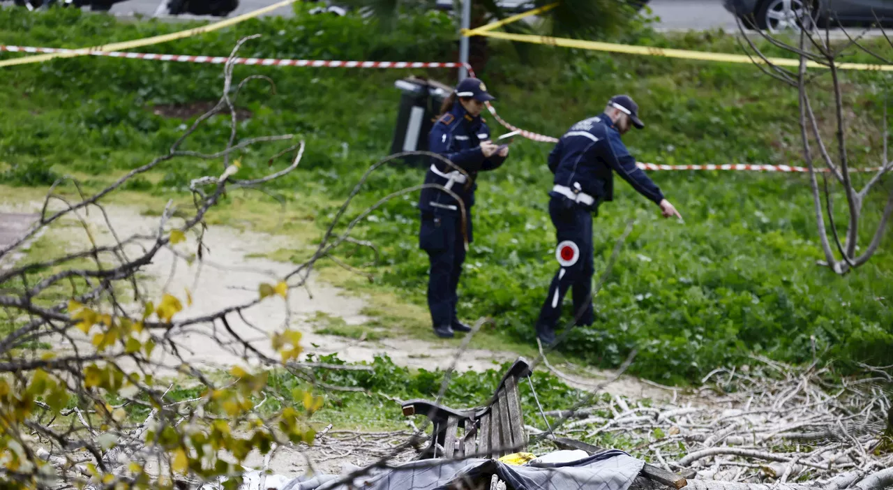 Tragedia a Roma: un altro albero cade uccidendo una donna