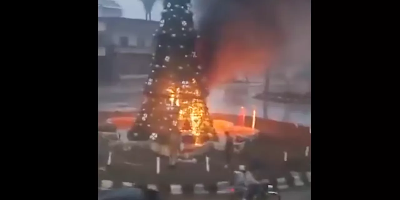 Tensioni a Suqaylabiyah: Incendio all'Albero della Pace e Proteste Cristiane