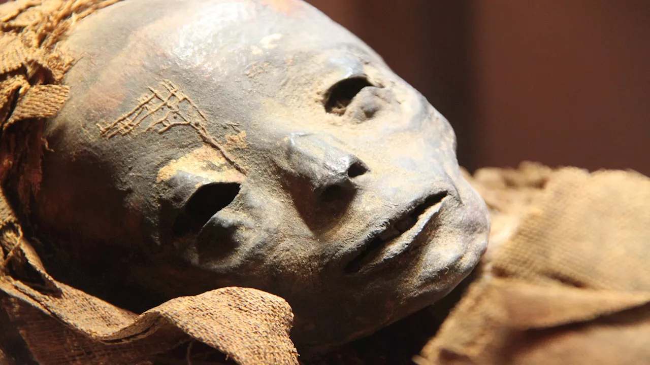 Ancient Egyptian Mummy Reveals Bubonic Plague in North Africa