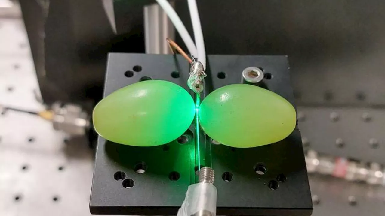 Grape Pairs Generate Magnetic Field Hotspots for Quantum Sensing