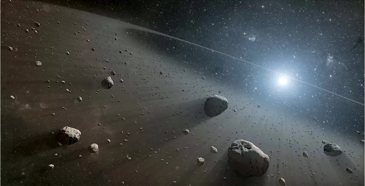 Webb Telescope Uncovers Hundreds of New Asteroids in Main Belt