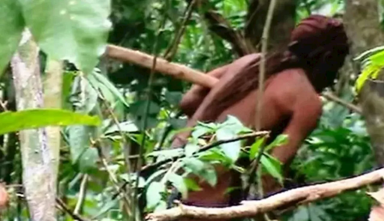 Morte de 'Índio do Buraco' Redefiniu o Futuro de Território na Amazônia