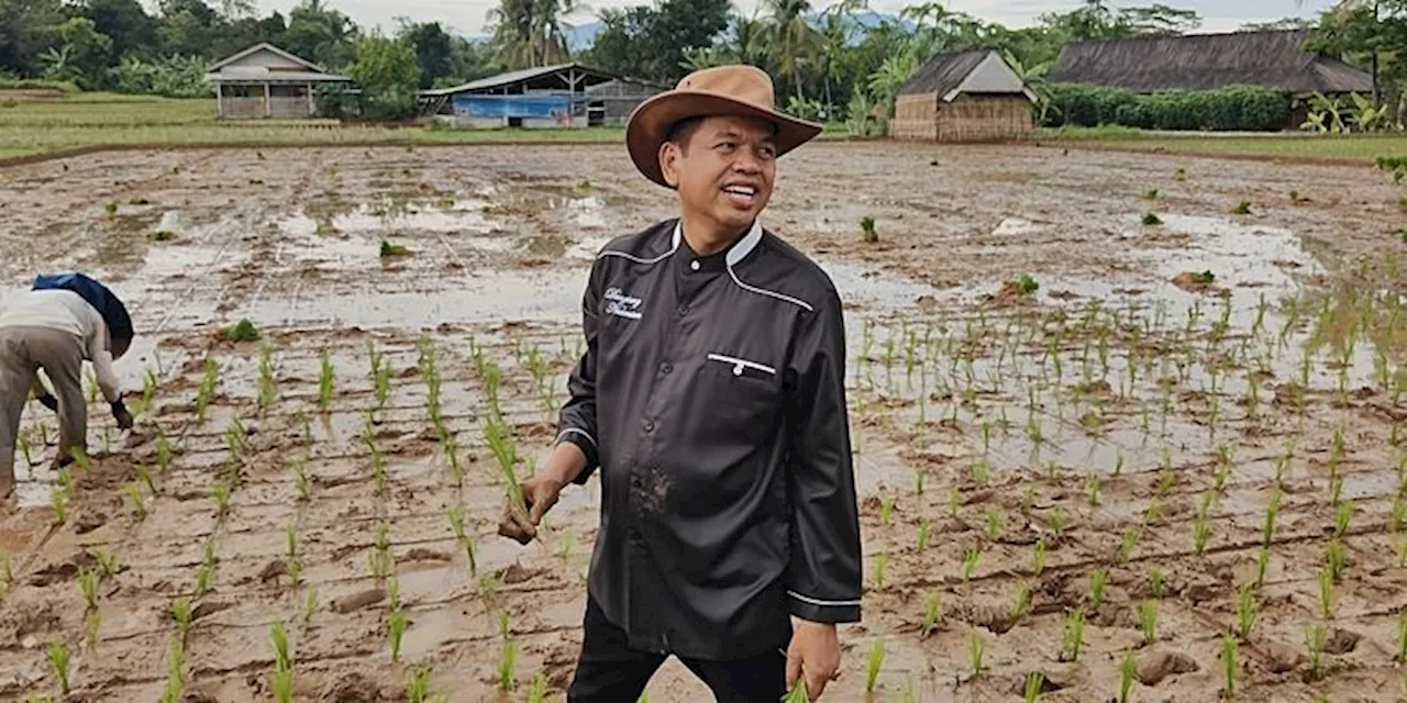 Dedi Mulyadi Tolak Bentuk Tim Transisi, Apa Alasannya?