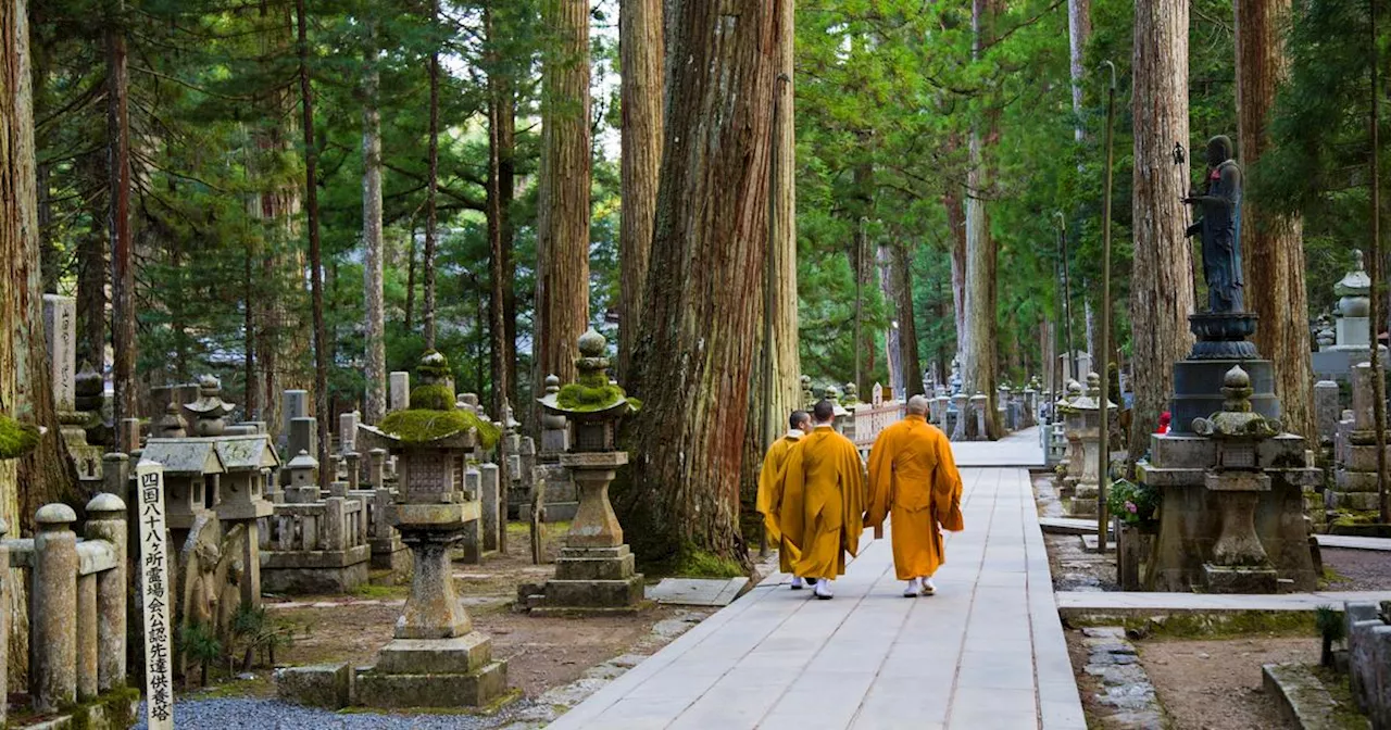 Les Temples de Koyasan : Un Voyage dans la Paix et le Connectivité