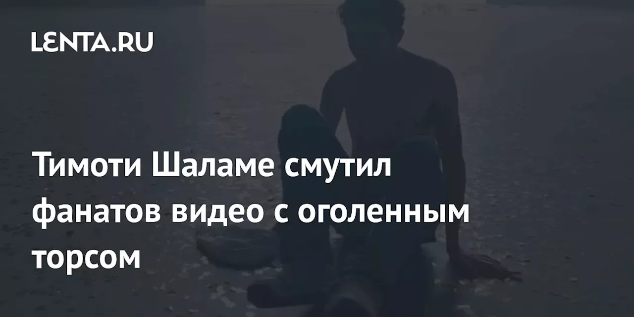 Тимоти Шаламе Смутил Фанатов Откровенным Видео