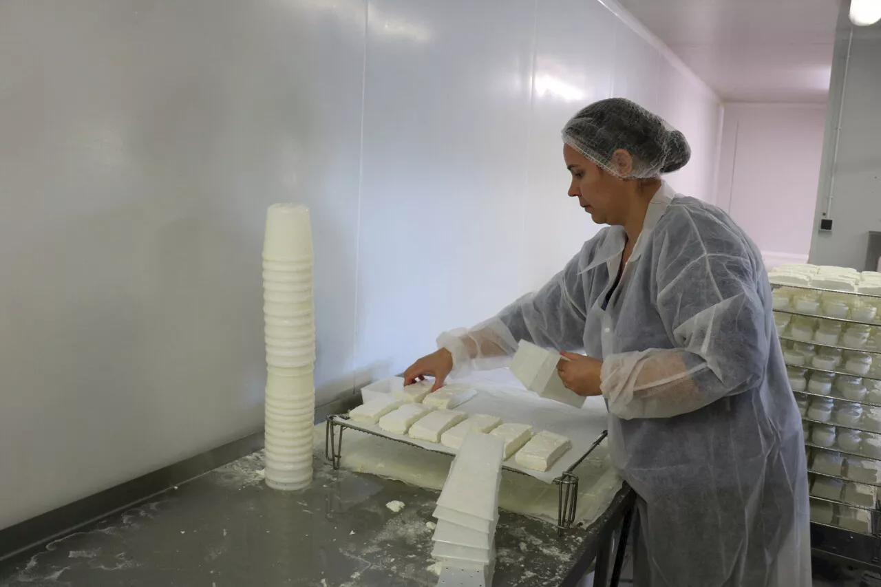 Pour les fêtes, offrez-vous des fromages locaux du Périgord