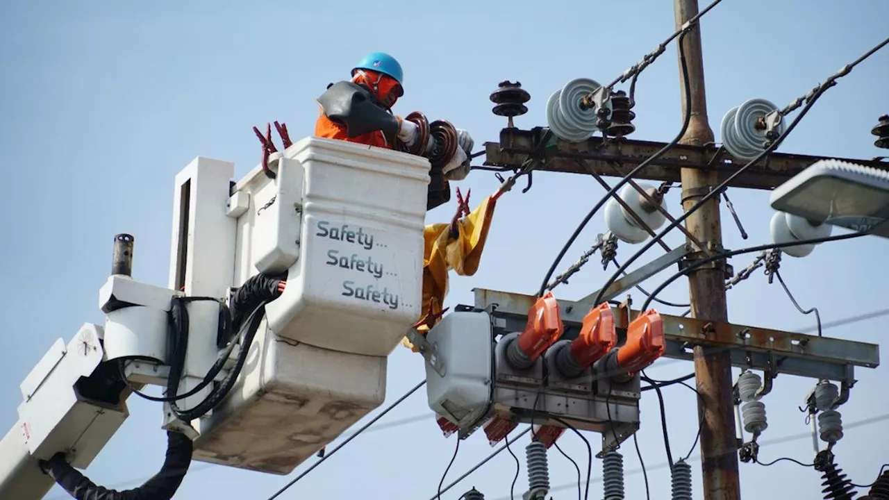 PLN Siapkan Smart Grid untuk Mitigasi Risiko Bencana Alam