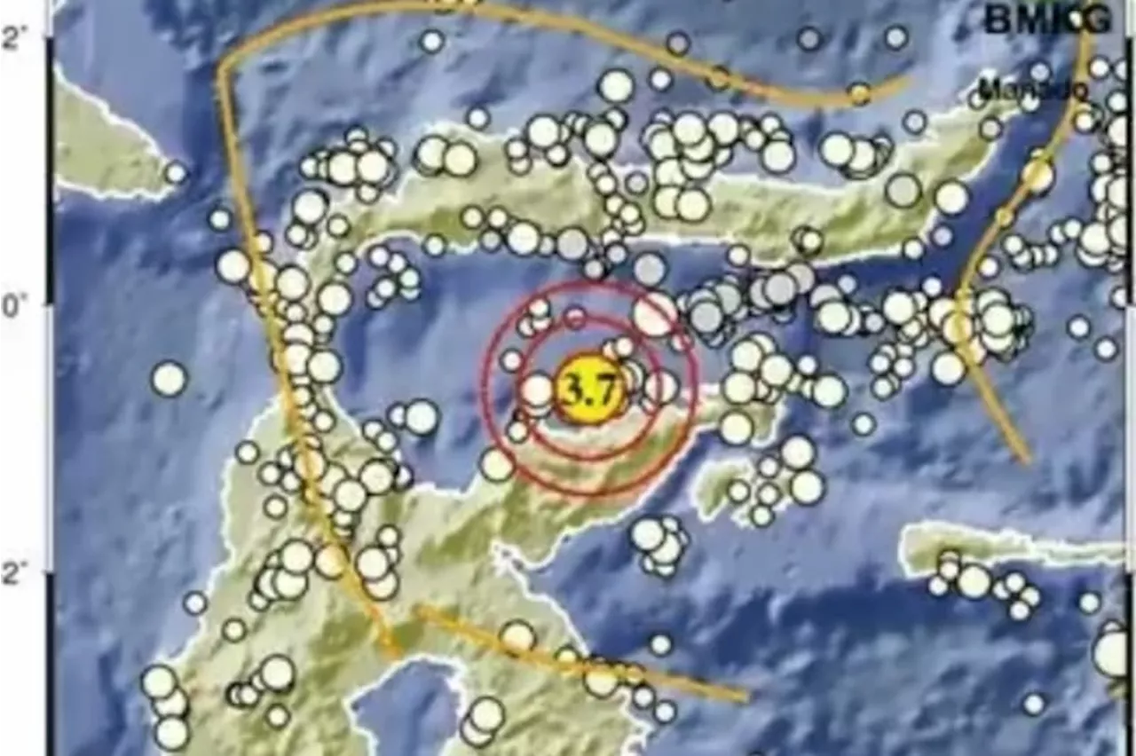 Gempa M 3.7 Guncang Tojo Una-una Sulawesi Tengah