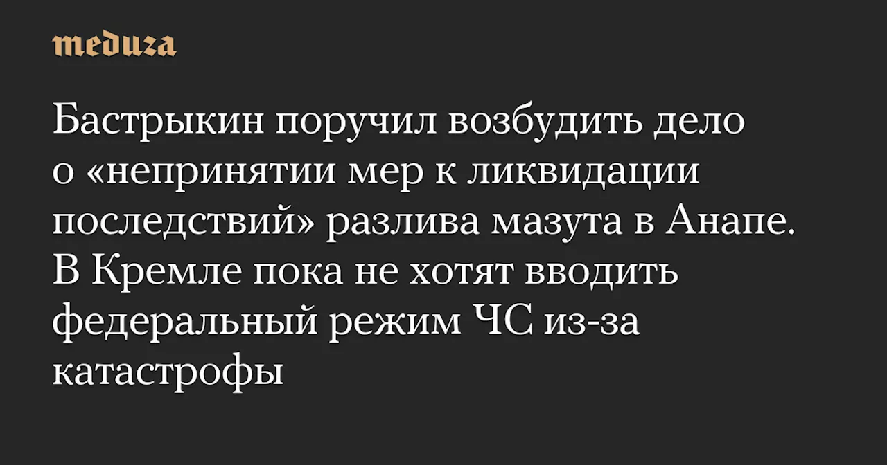 Бастрыкин поручил возбудить дело о разливе мазута в Анапе