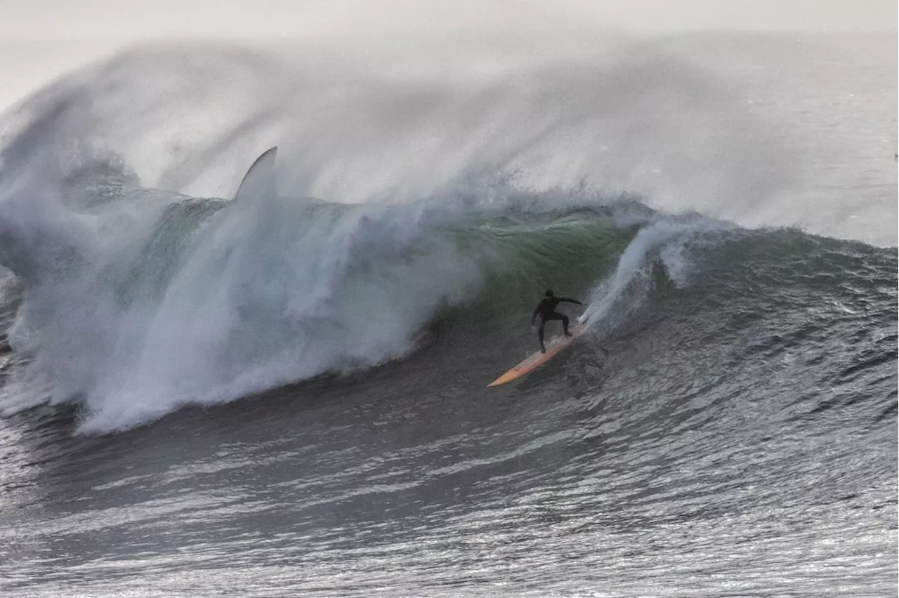 Massive Swell Surprises Central Coast Surfers with Epic Rides and Mayhem