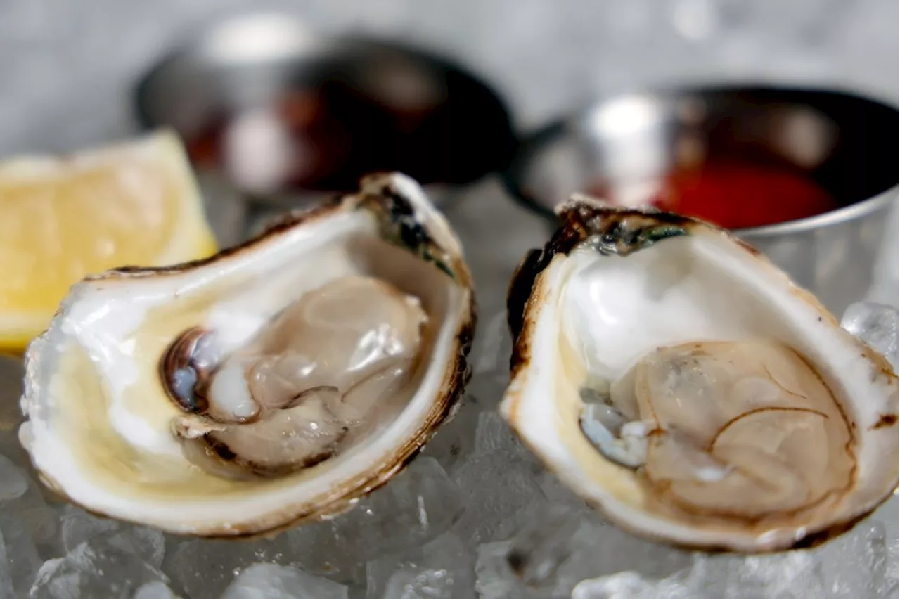 Norovirus Outbreaks Prompt Oyster Recalls and Cruise Ship Concerns