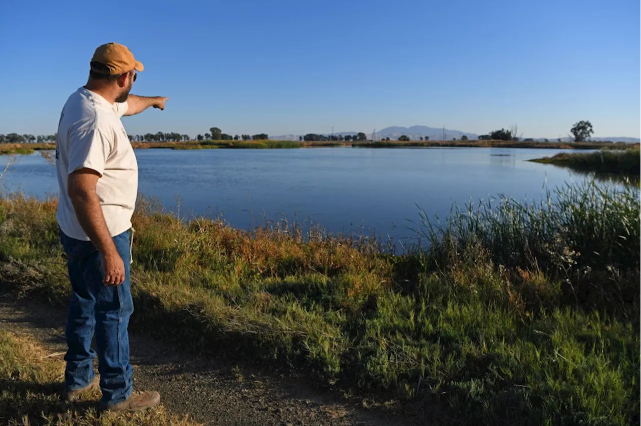 Nutria Trapped at Grizzly Ranch in California