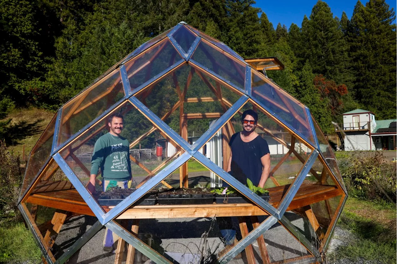 Solar Punk Farms Embodies Sustainable Living in the Bay Area