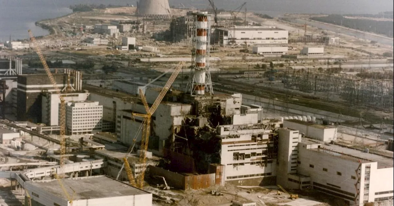 How fungus in the Chernobyl exclusion zone can absorb deadly radiation