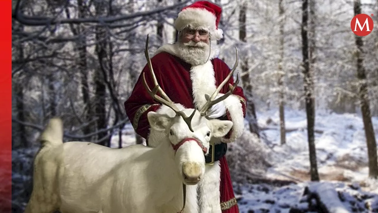 Los Renos de Santa Claus