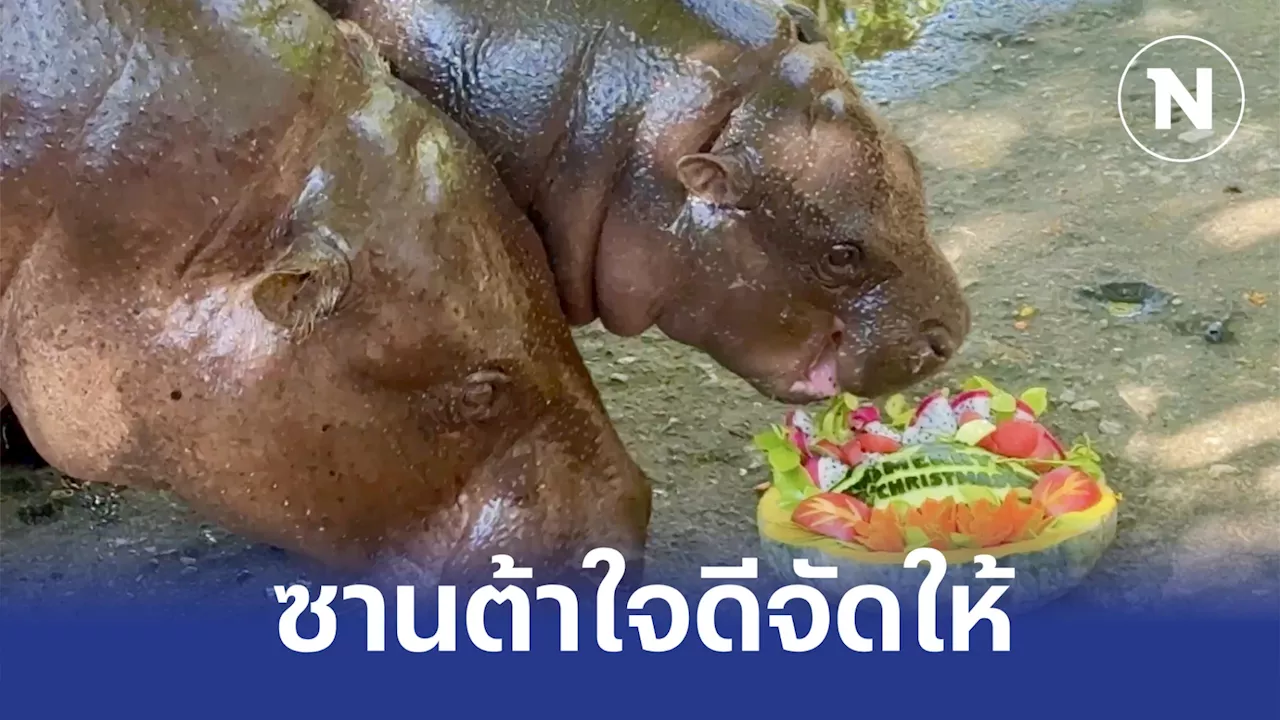 สวนสัตว์เปิดเขาเขียว ส่งความสุขสัตว์ป่าปีใหม่